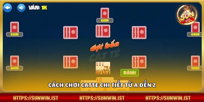Cách chơi Catte chi tiết từ A đến Z